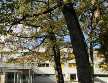 Collège La Garenne (public)